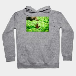 Bird on water plants / Swiss Artwork Photography Hoodie